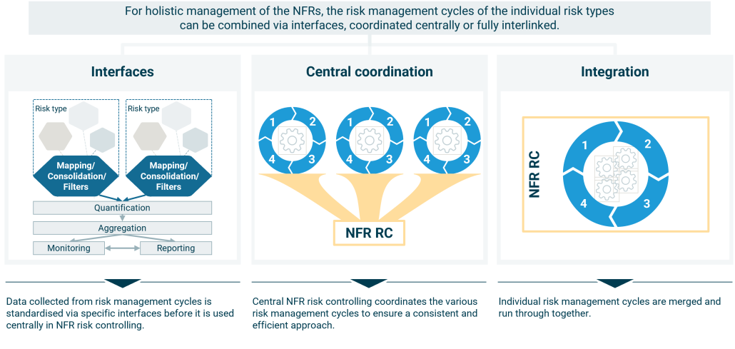 Nfr Operations Risks Examples The big picture: Controlling the NFR Puzzle